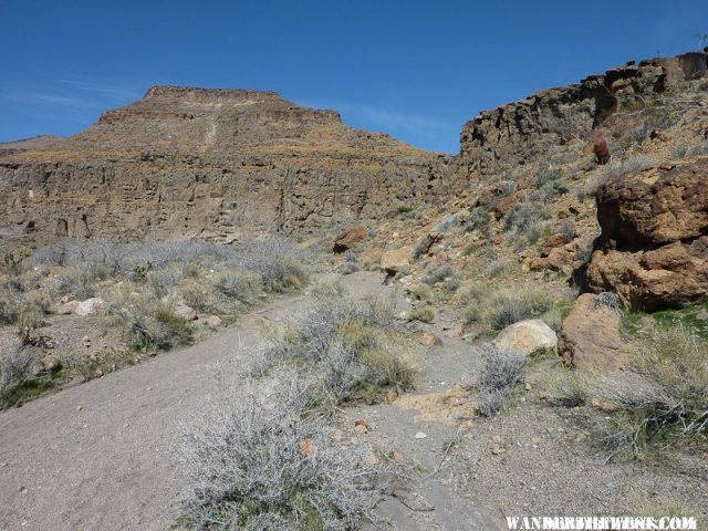 Along the Rings Loop Trail