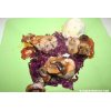 Seared Pork with braised Cabbage and Mushroom sauce