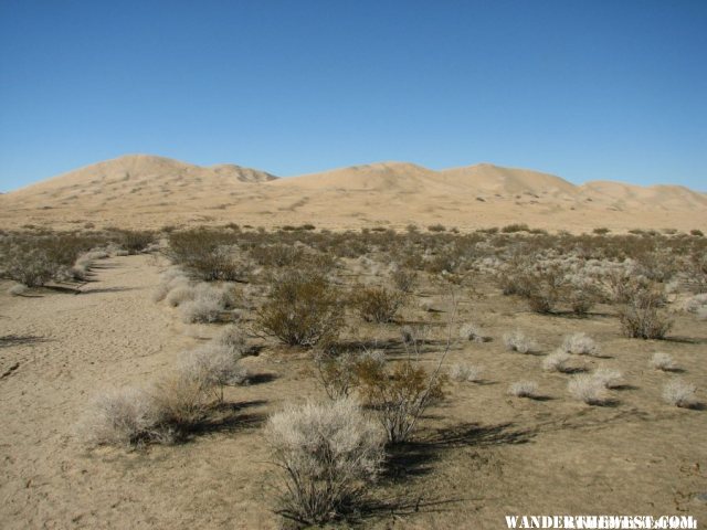 Kelso Dunes Trail1