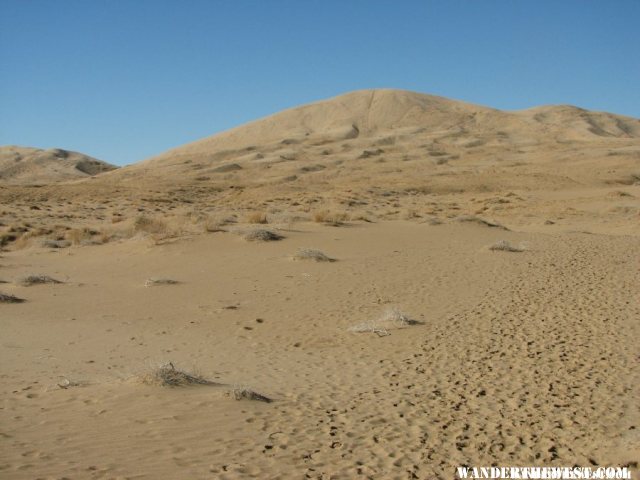 The trail up the dunes.
