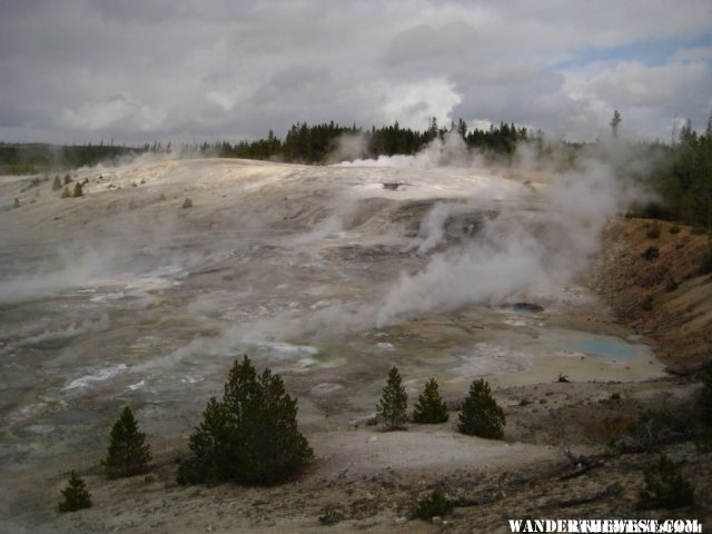 Norris Geyser Basin area