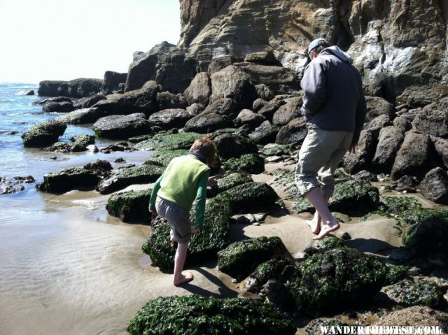 Tidepooling at Otter Rock