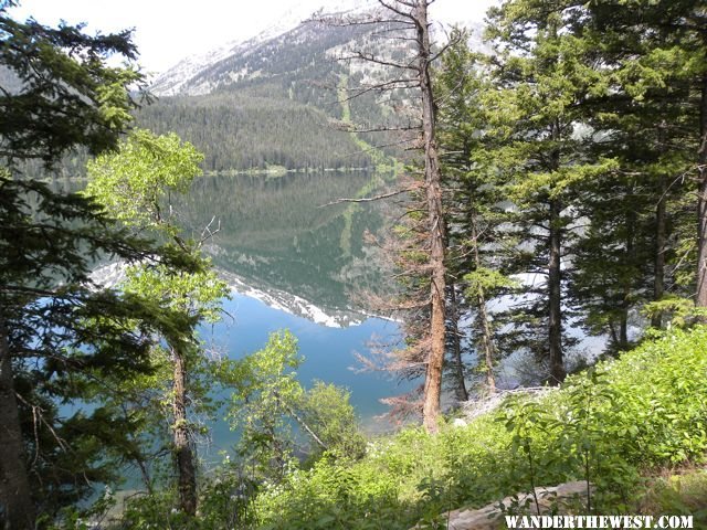 Phelps Lake trail