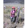 My son, at 8 years old, fence removal with ONDA, Hart Mt. NWR