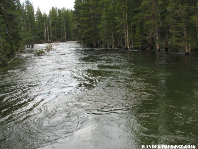 Tuolumne River with high spring runoff.