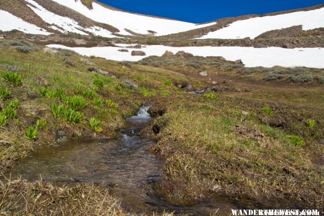 Above Tree Line