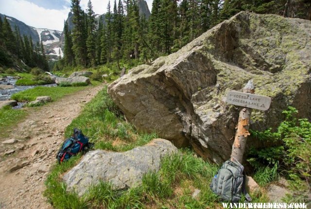 Odessa Lake Trail