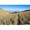 Climbing to the Toiyabe Crest