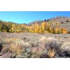 Bodie Hills Aspen