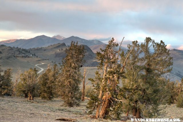 View North from Radio peak Camp