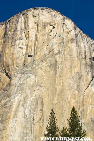 El Capitan Climbers