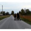 42 Amish Flatbed (1024x894).jpg