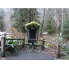 Mossy phone booth