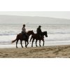 Horses on Limantour Beach
