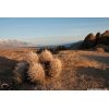 Alabama Hills