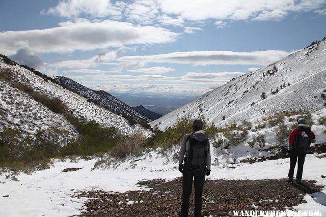 Hiking Ophir Pass