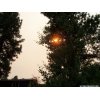 Sun over a smoky Susanville