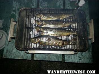 trout dinner