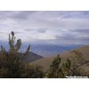 Ancient Bristlecone Pine Forest