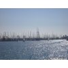 Scene from Stearns wharf