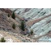 John Day Fossil Beds - Blue Basin Trail
