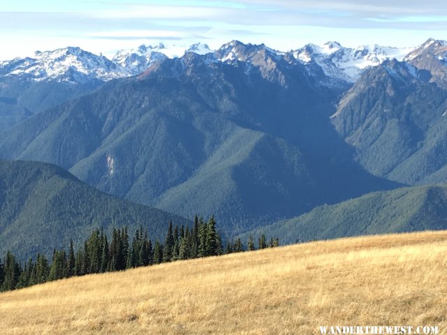 Mt. Olympus in Olympic National Park