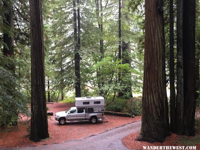 Camped in the Big Trees of Jedediah Smith Redwood State Park