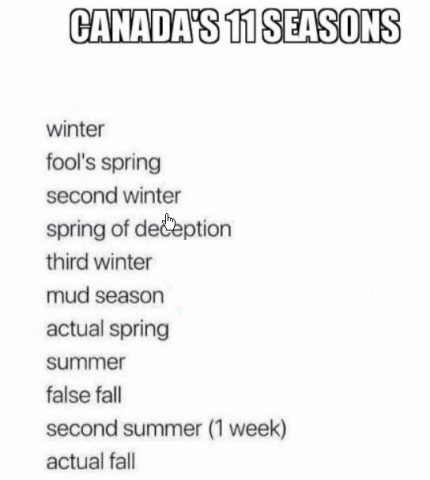 11 seasons