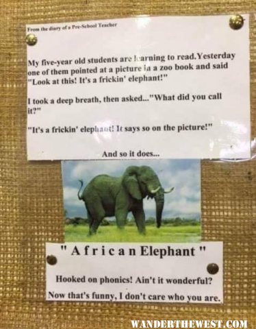 Elephant joke