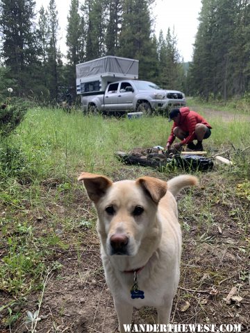 Camper In MT