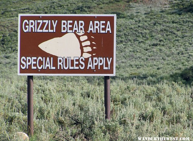 Grizzly Bear Area