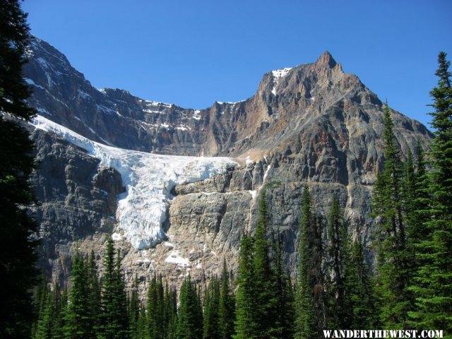 2005 C94 JASPER MT EDITH  CAVELL ANGEL GL