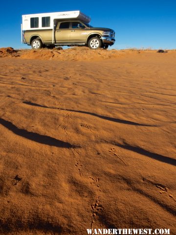 Canyonlands tracks