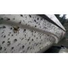 bugs on camper