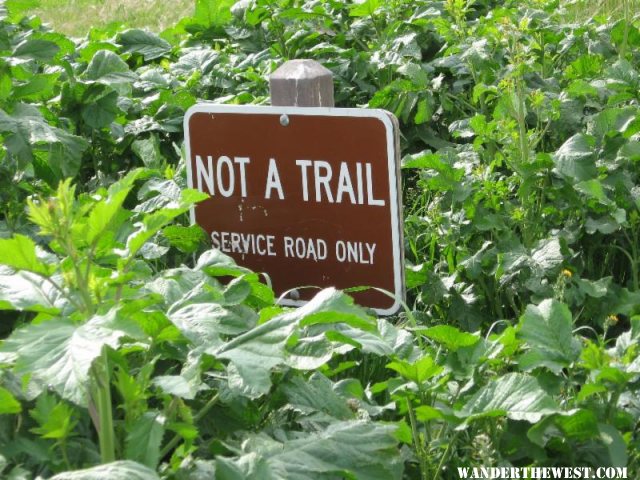 Not a Trail