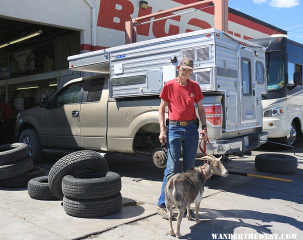 A Man, a Goat and a FWC