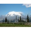 2013 051 MT RAINIER NP RAINIER FROM CHINOOK PASS