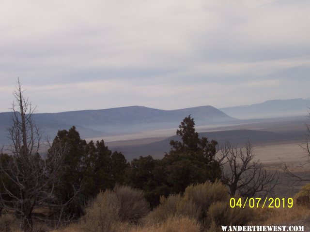 Sheldon NWR (04/07/2020)