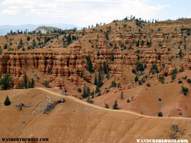 Thunder Mountain Trail