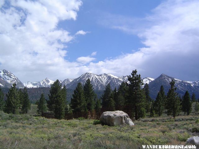 Sierra landscape