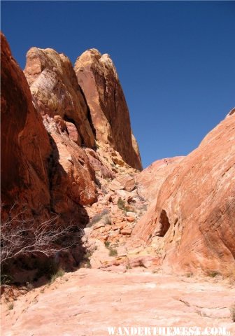 Valley of Fire 14
