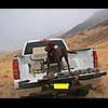 Best Investment Strategy - last post by Chukar Hunter
