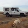 wind noise while driving with truck camper? - last post by fuzzymarindave